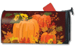 [Harvest Pumpkins Mailbox Cover]