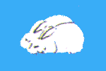 Bunnies - Slumber flag