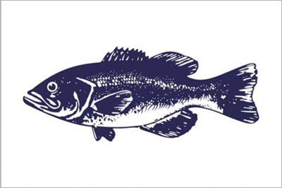Fisherman S Catch 12x18 Nylon Flags Crw Flags Store In Glen Burnie Maryland Fisherman S Catch 12x18 Nylon Flags Crw Flags Store In Glen Burnie Maryland