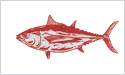 Albacore fisherman's catch flag