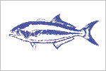 Bluefish fisherman's catch flag