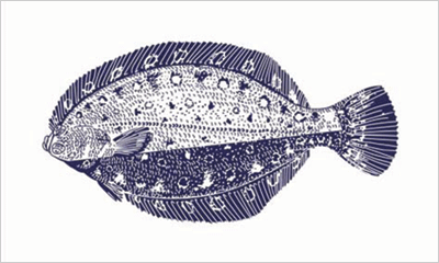 Flounder fisherman's catch flag