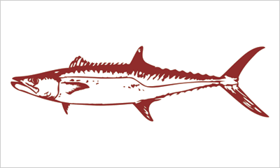 Kingfish fisherman's catch flag