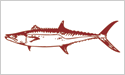 [Kingfish - Fisherman's Catch Flag]