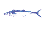 King Mackerel fisherman's catch flag