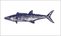 [King Mackerel - Fisherman's Catch Flag]