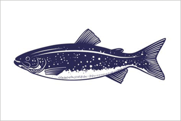 Lake Trout fisherman's catch flag