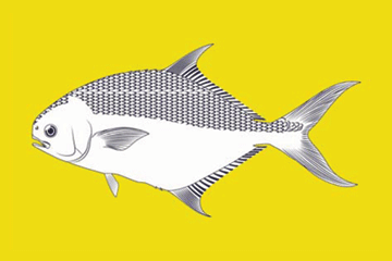 Pompano fisherman's catch flag