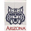 [University of Arizona Banner]