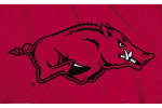 [University of Arkansas Flag]