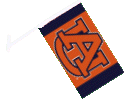 [Auburn University Car Flag]