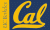 University of California Berkeley flag