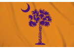 Clemson University flag