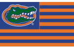 University of Florida flag