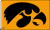 University of Iowa flag