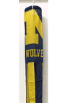 [University of Michigan Windsock]