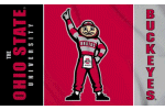 [Ohio State University Flag]