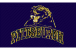 [University of Pittsburgh Flag]