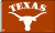 University of Texas flag