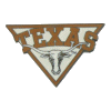 [University of Texas Pin]