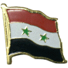 [Syria Flag Pin]
