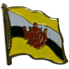 [Brunei Flag Pin]