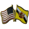 [U.S. & Brunei Flag Pin]