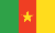 Cameroon flag