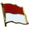 [Indonesia Flag Pin]
