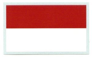 Monaco Flag  Bügelbild Markenqualität Waschbar bis 95°C  H7cmxB10cm 