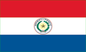 [Paraguay Flag]