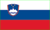 Slovenia flag