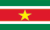 Suriname flag