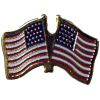 [U.S. and United States Metal Flag Pin]