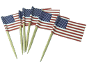 [United States Toothpick Flags]