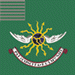 [2nd Regiment Continental Light Dragoons - Green Squadron Flag]