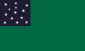 [Green Mountain Boys Authentic Pattern Flag]