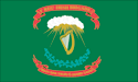 [Irish Brigade 69th New York Flag]