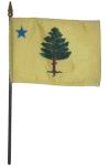 Maine (1901) Desk Flag