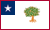 Mississippi (1861) Magnolia flag