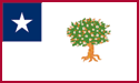 [Mississippi 1861 Flag]