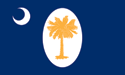 [South Carolina January 1861 Flag]