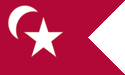 [South Carolina Secession Flag]