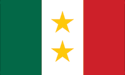 [Texas Coahuila Militia Flag]