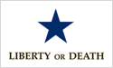 [Joanna Troutman Liberty or Death Flag]