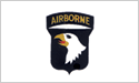 [Army 101st Airborne Lt Poly Flag]