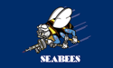 [Navy Seabees Flag]