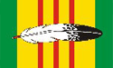 [Vietnam Service Ribbon Feather Lt Poly Flag]