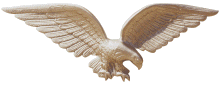 [Bronze Wall Eagle]