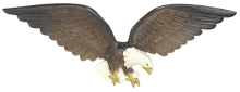 [Natural Wall Eagle]